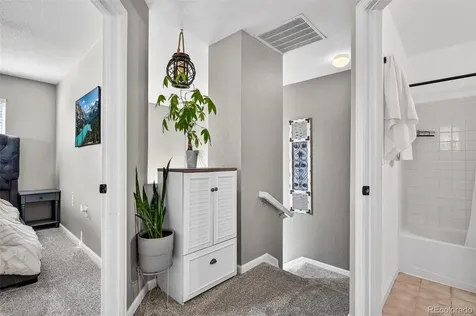 1509 Gold Hill Street Castle Rock CO 80109