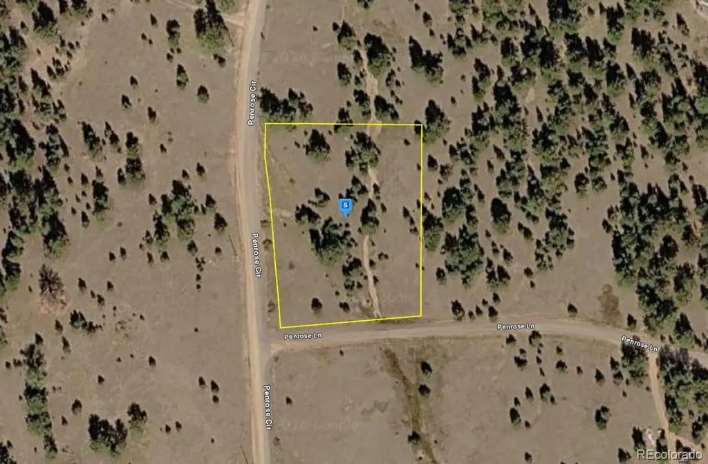 715 Penrose Circle Florissant CO 80816