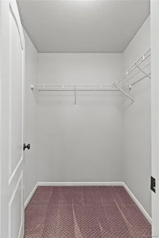 21366 E Stroll Avenue Parker CO 80138
