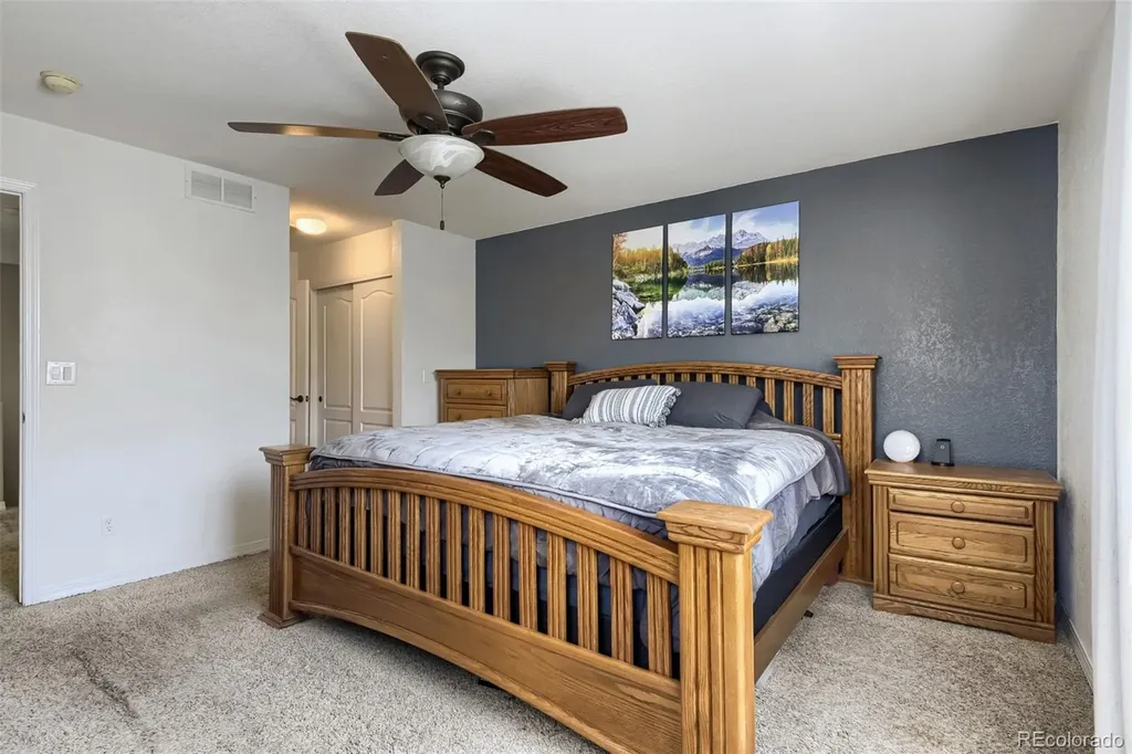 9678 Deerhorn Court Parker CO 80134