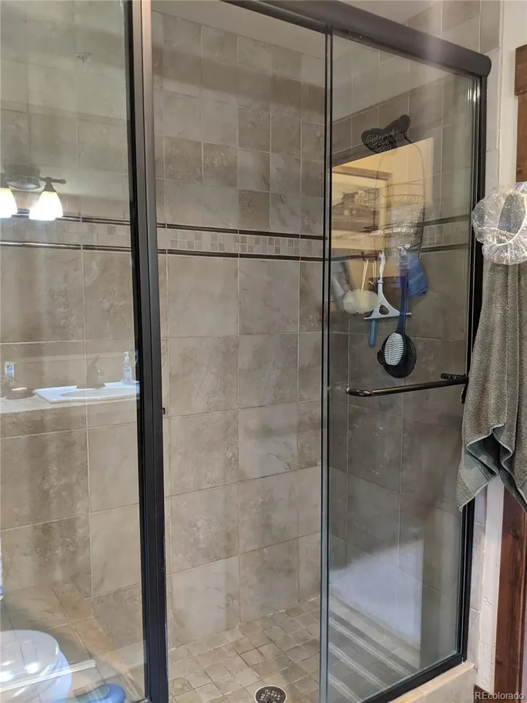 67 Cozens Pointe Circle Fraser CO 80442