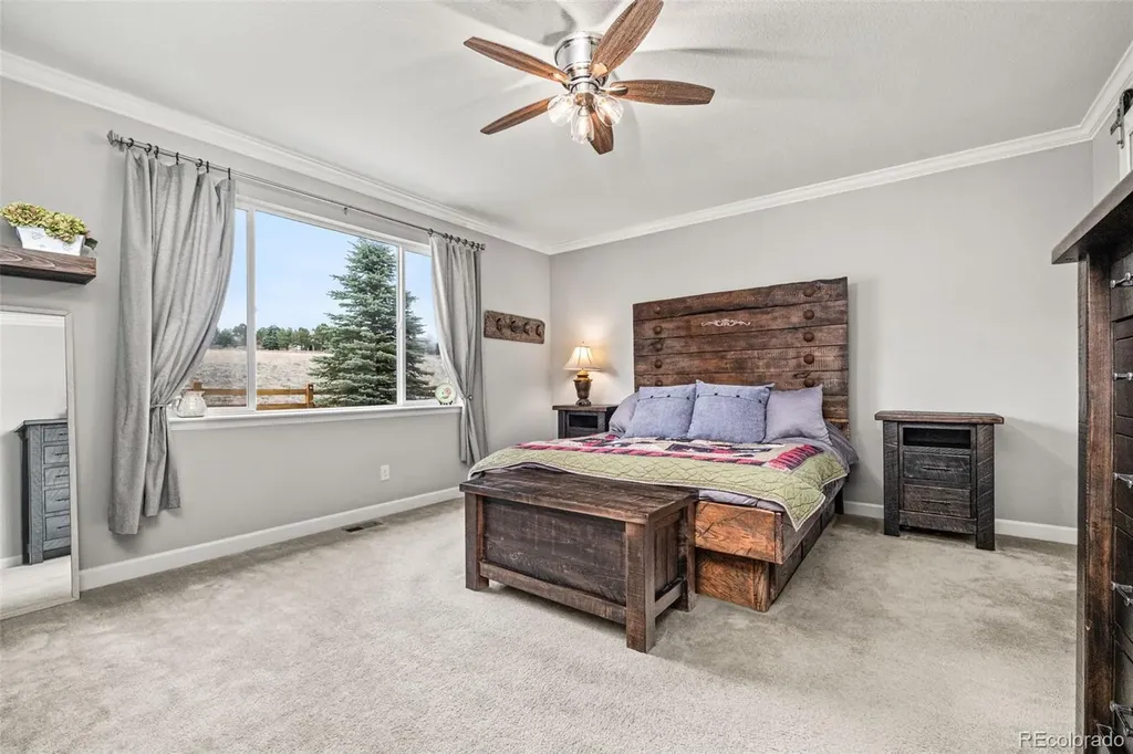 6749 Mentha Drive Castle Rock CO 80108