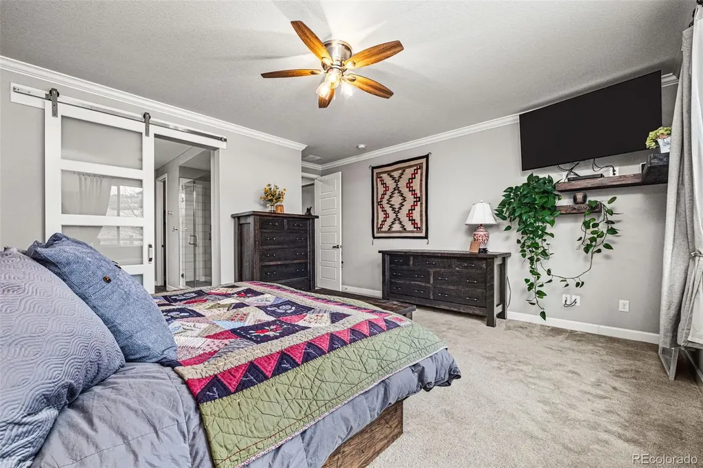 6749 Mentha Drive Castle Rock CO 80108