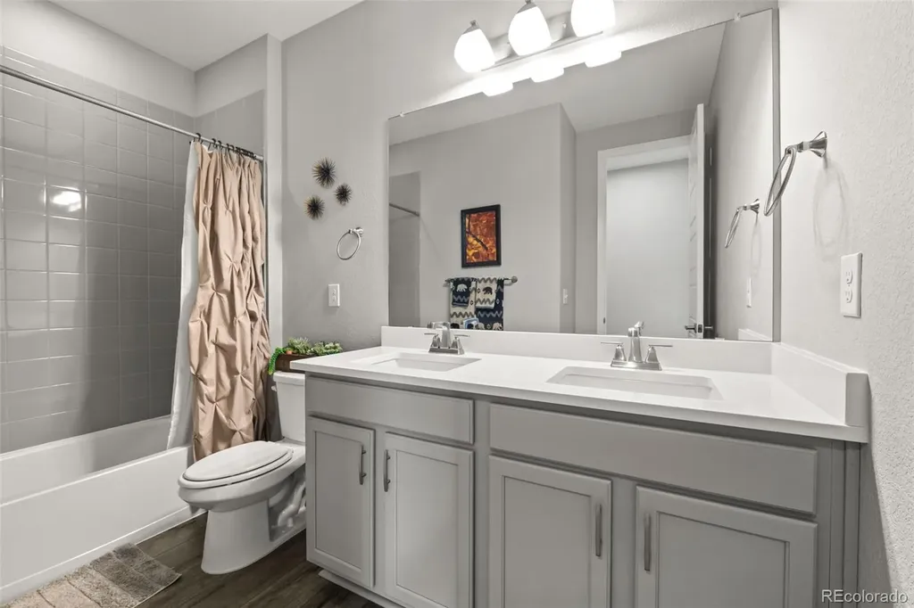 6749 Mentha Drive Castle Rock CO 80108