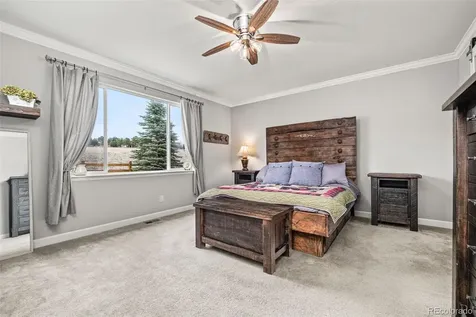 6749 Mentha Drive Castle Rock CO 80108