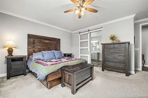 6749 Mentha Drive Castle Rock CO 80108