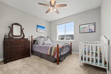 6749 Mentha Drive Castle Rock CO 80108