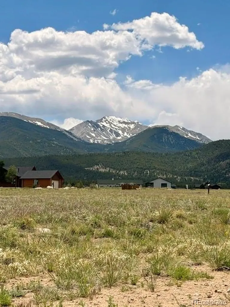 17550 Pony Run Buena Vista CO 81211