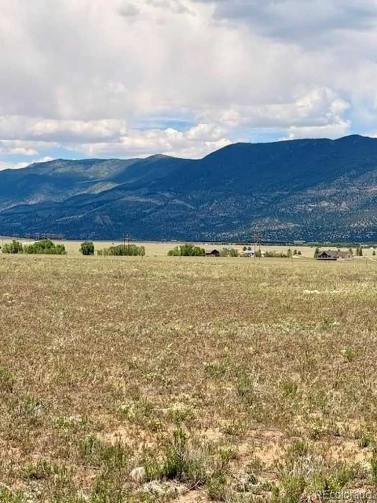 17550 Pony Run Buena Vista CO 81211