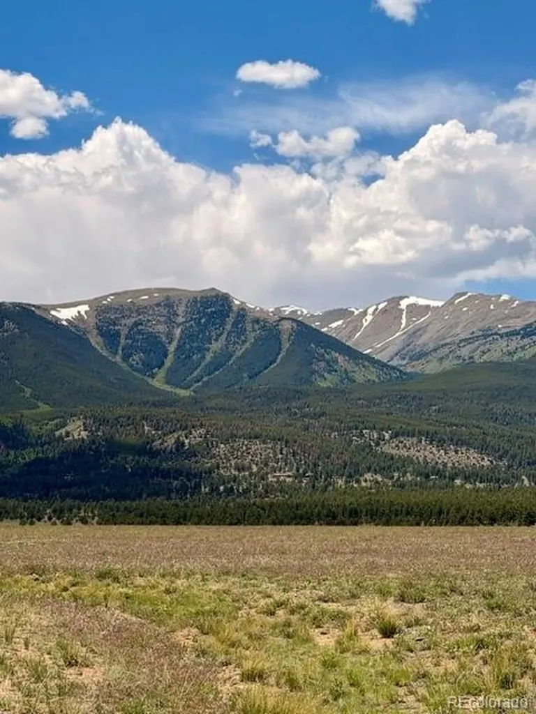 17550 Pony Run Buena Vista CO 81211