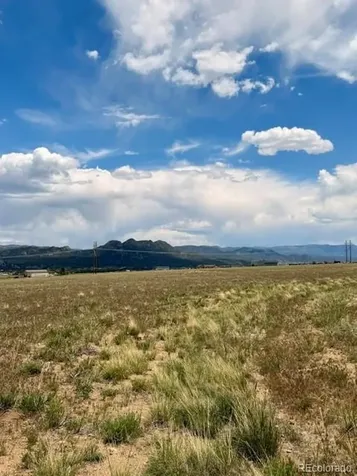 17550 Pony Run Buena Vista CO 81211