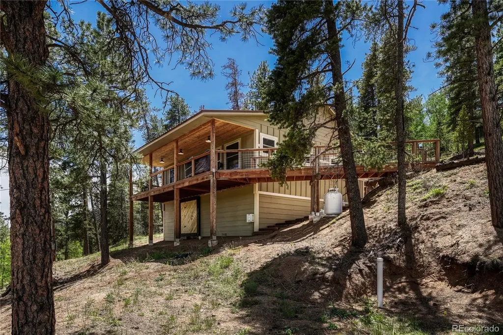 133 Brown Street Bailey CO 80421