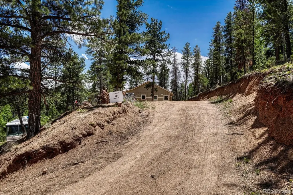133 Brown Street Bailey CO 80421