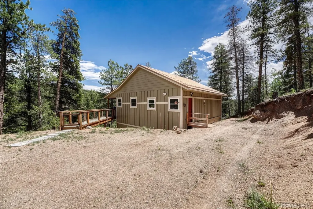 133 Brown Street Bailey CO 80421