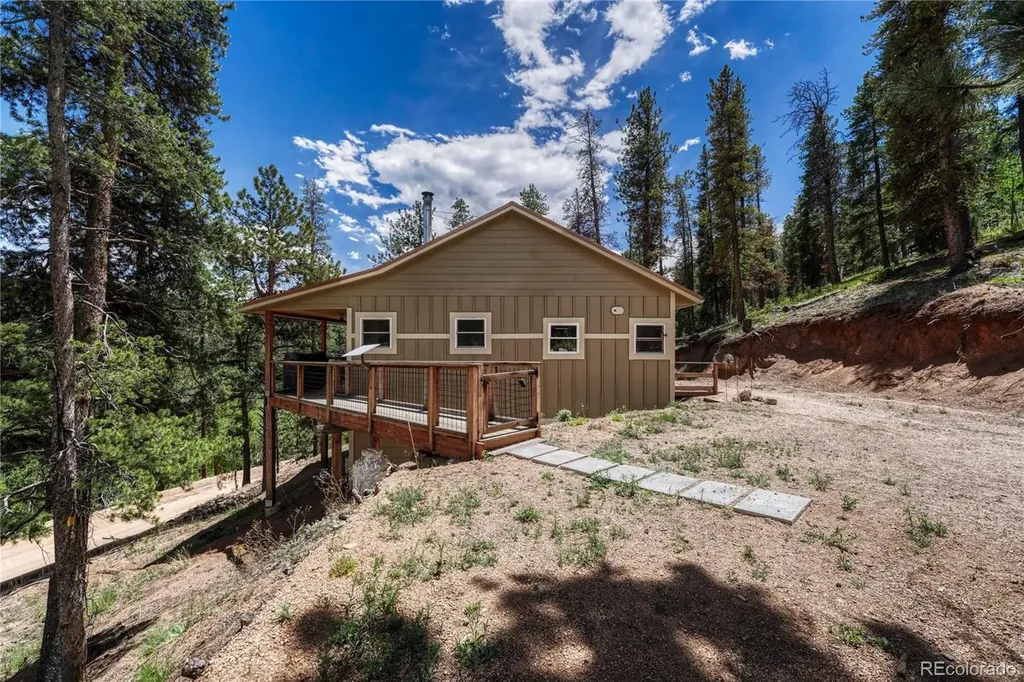 133 Brown Street Bailey CO 80421