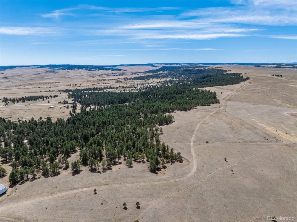 22555 County Road 49 Elbert CO 80106