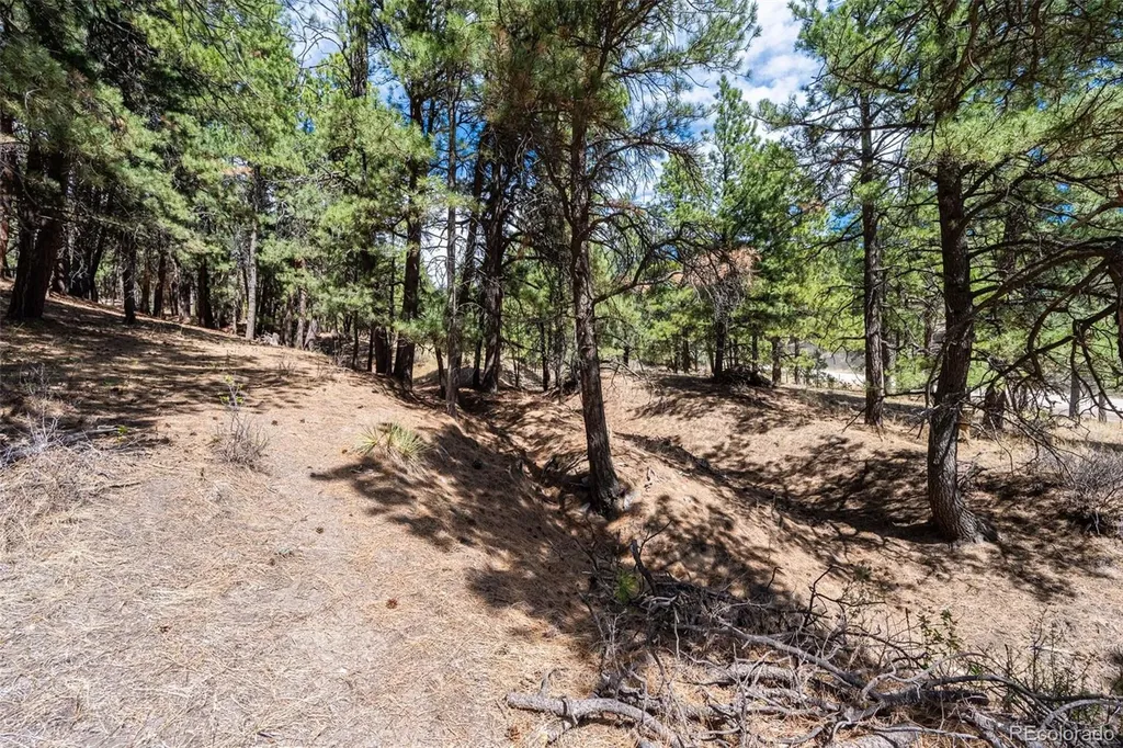 22555 County Road 49 Elbert CO 80106