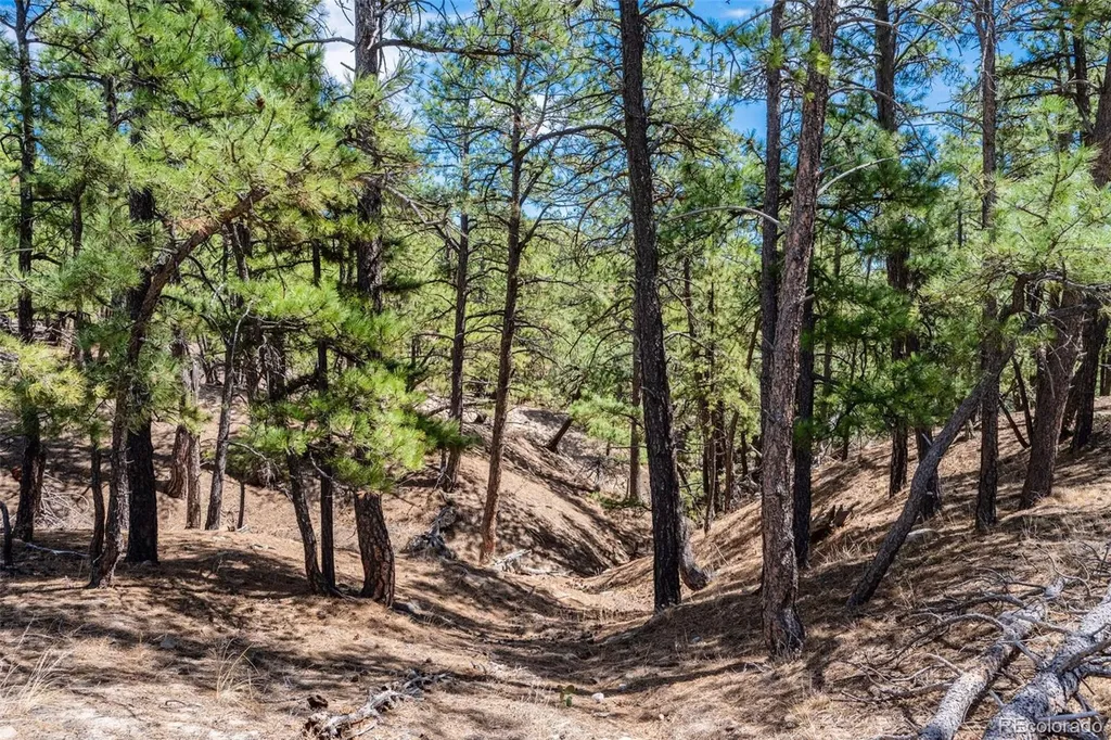 22555 County Road 49 Elbert CO 80106
