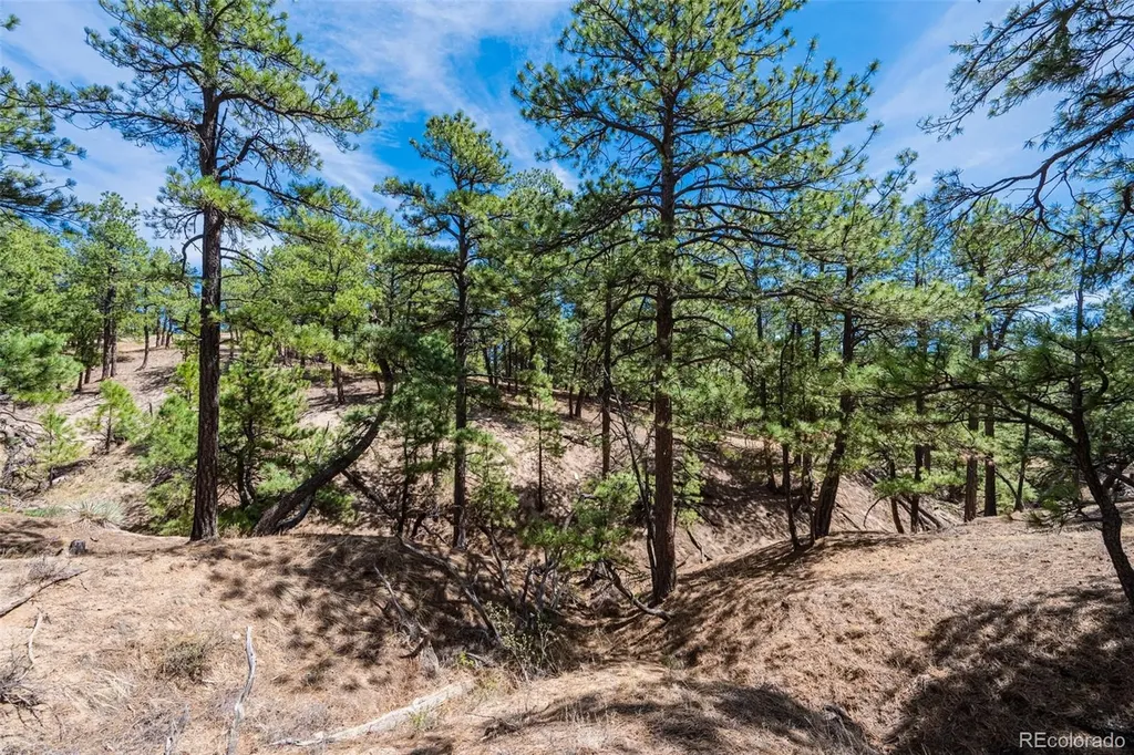 22555 County Road 49 Elbert CO 80106