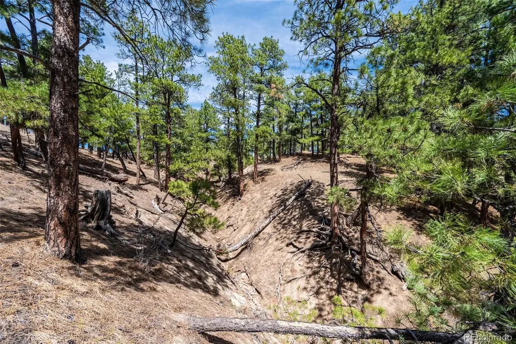22555 County Road 49 Elbert CO 80106
