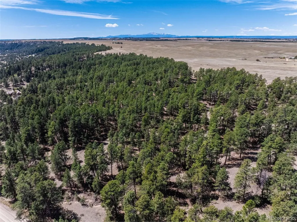 22555 County Road 49 Elbert CO 80106