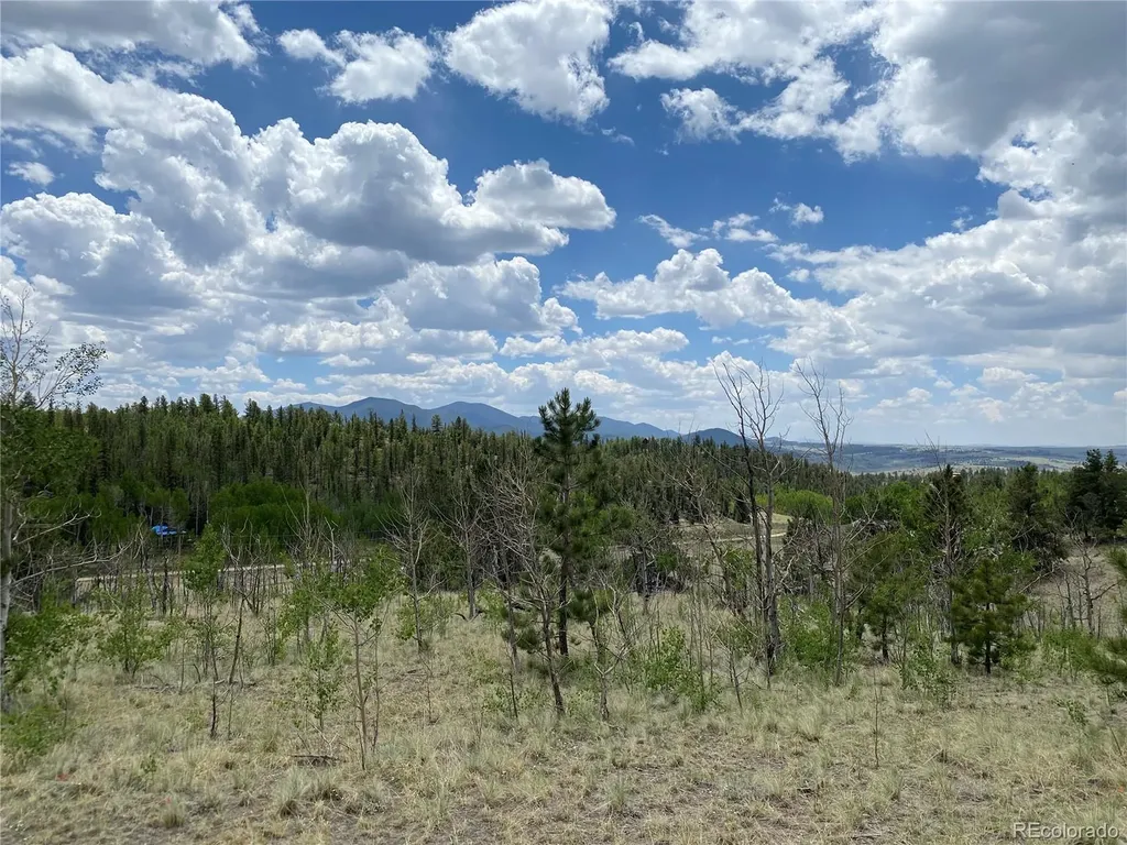 0 Tbd Al Gulch Road Jefferson CO 80456
