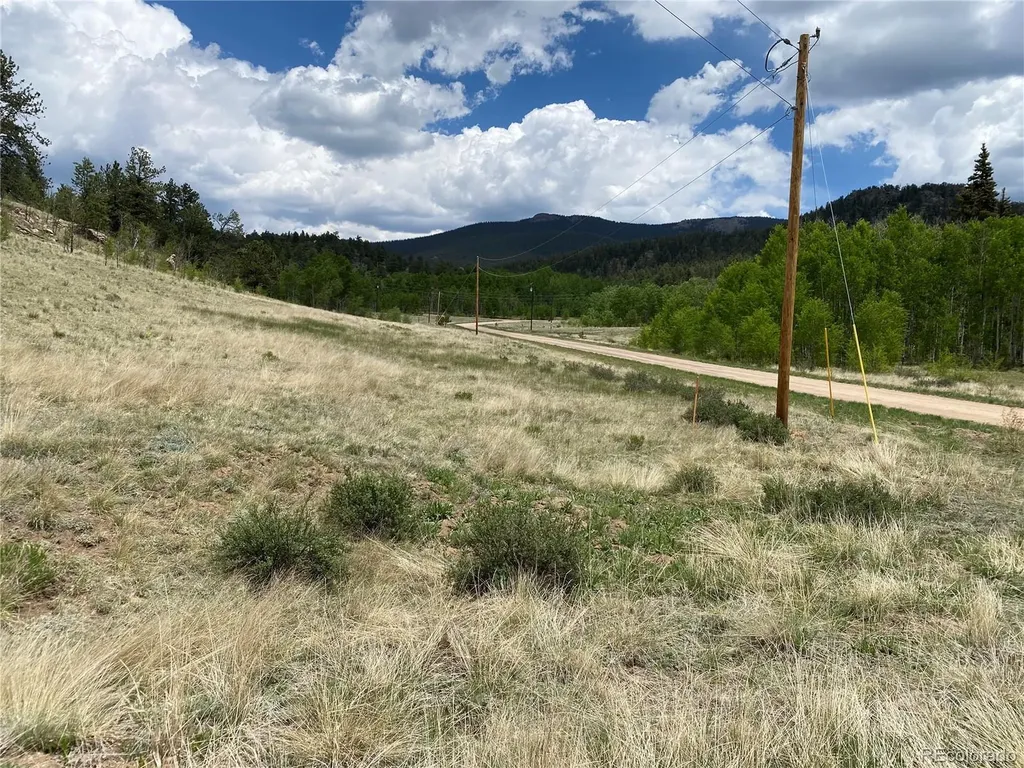 0 Tbd Al Gulch Road Jefferson CO 80456