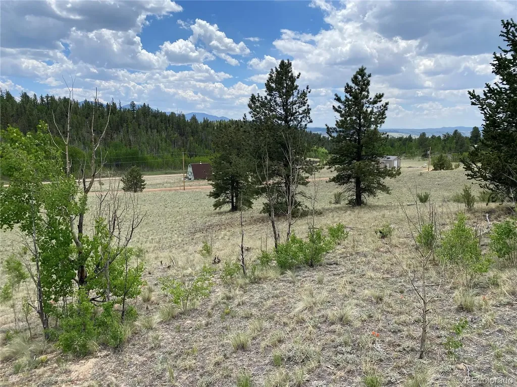 0 Tbd Al Gulch Road Jefferson CO 80456