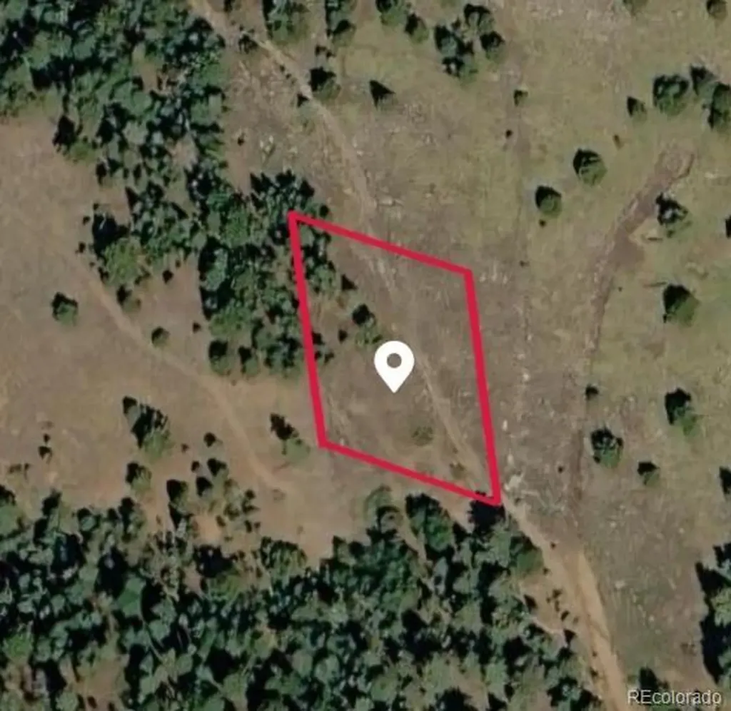 538 Anges Drive Cripple Creek CO 80813