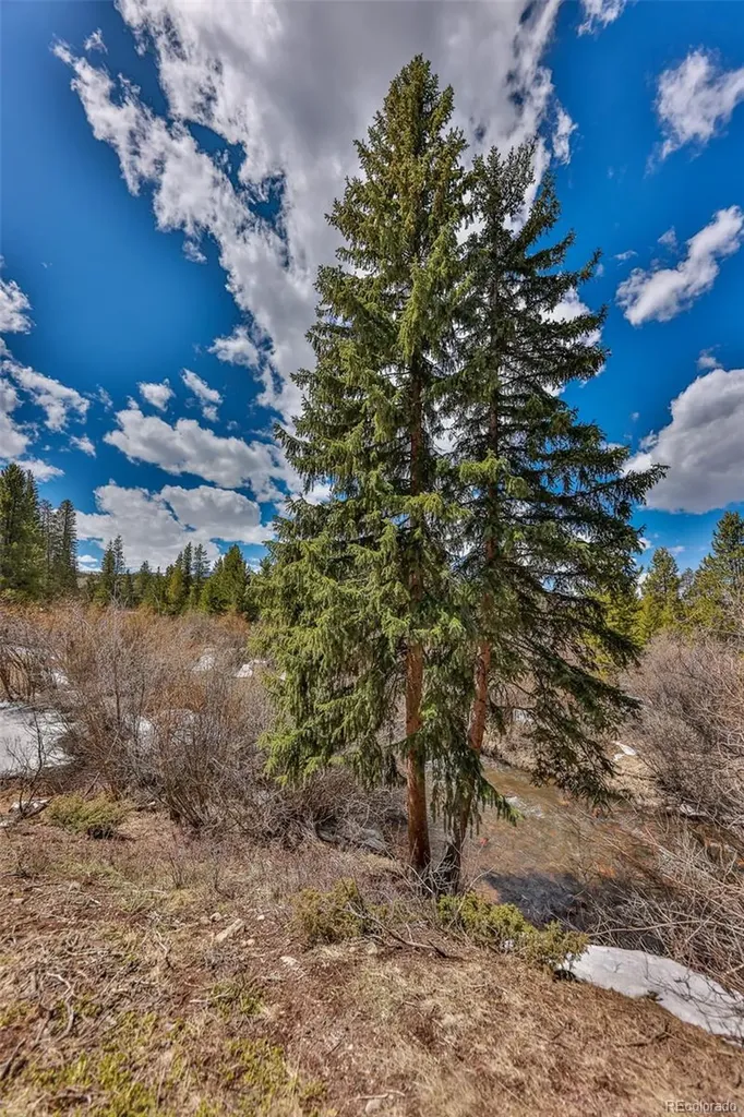 471 Hi Country Drive Winter Park CO 80482