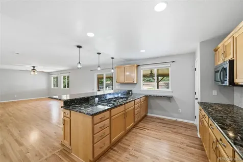 935 Crenshaw Street Castle Rock CO 80104
