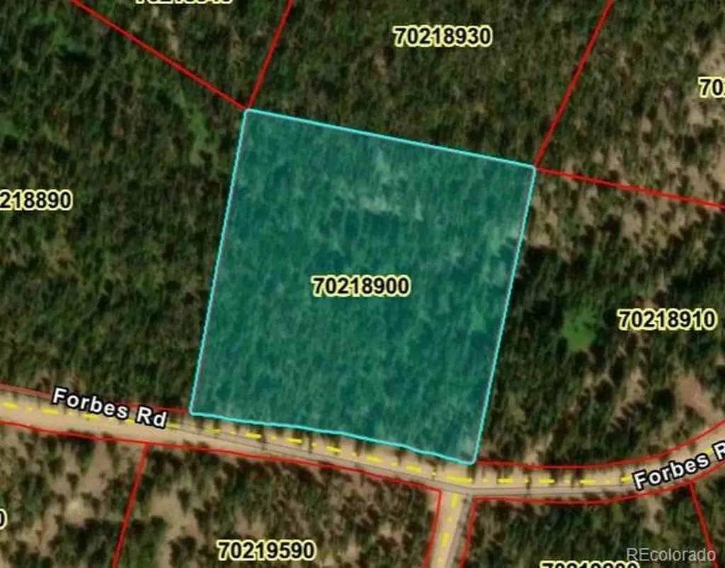 Lot 6615 Forbes San Luis CO 81152