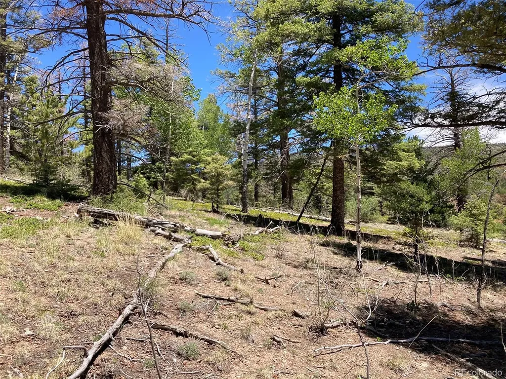 Lot 6617 Forbes San Luis CO 81152