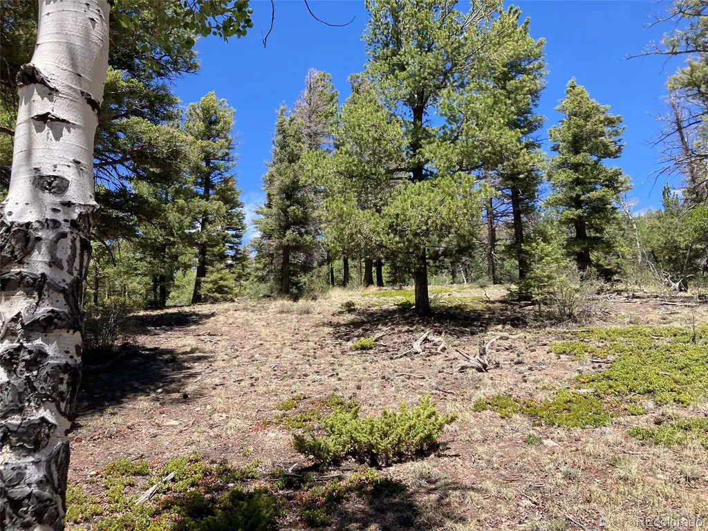 Lot 6617 Forbes San Luis CO 81152