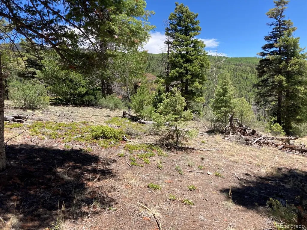 Lot 6617 Forbes San Luis CO 81152