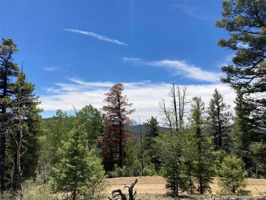Lot 6617 Forbes San Luis CO 81152