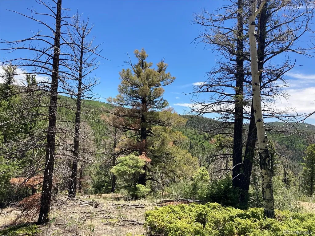 Lot 6617 Forbes San Luis CO 81152
