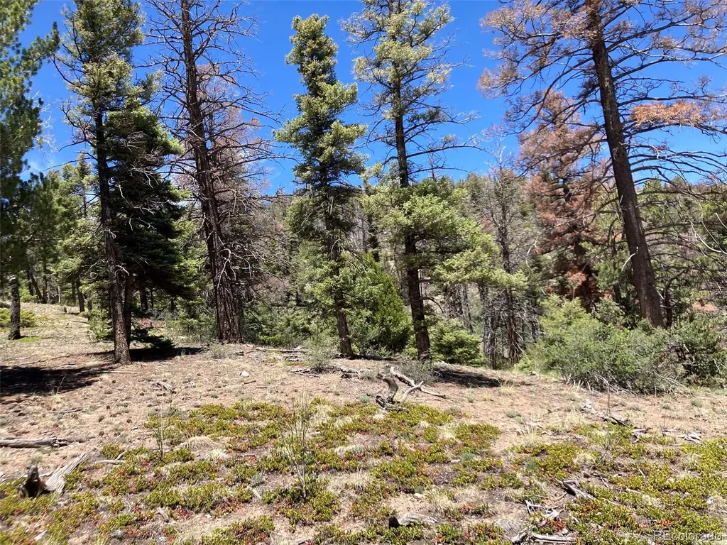 Lot 6617 Forbes San Luis CO 81152