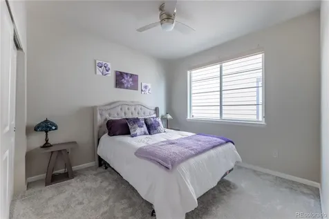 3280 Youngheart Way Castle Rock CO 80109