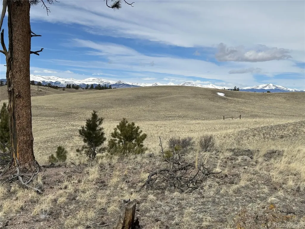 443 Saddle Horn Road Hartsel CO 80449
