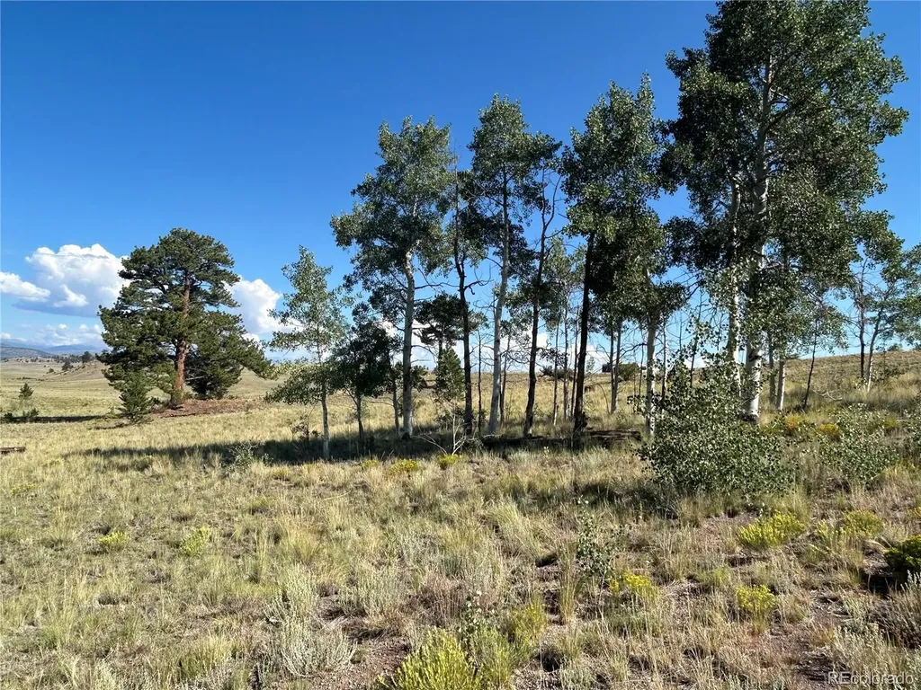 443 Saddle Horn Road Hartsel CO 80449