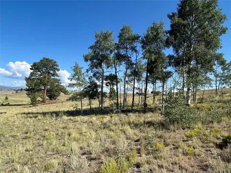 443 Saddle Horn Road Hartsel CO 80449
