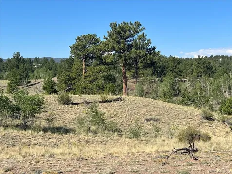 443 Saddle Horn Road Hartsel CO 80449