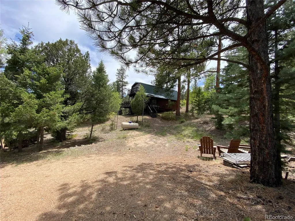 1927 Basin Drive Cotopaxi CO 81223