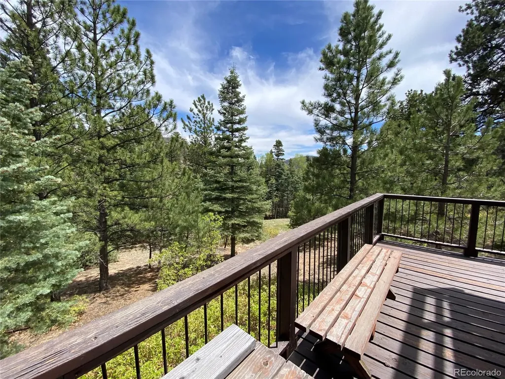 1927 Basin Drive Cotopaxi CO 81223
