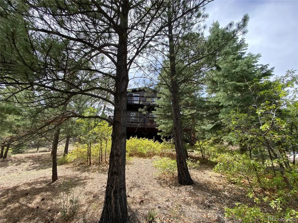 1927 Basin Drive Cotopaxi CO 81223