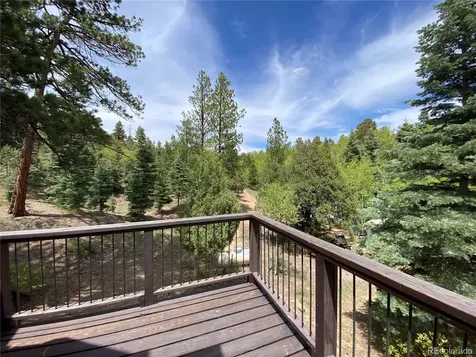 1927 Basin Drive Cotopaxi CO 81223