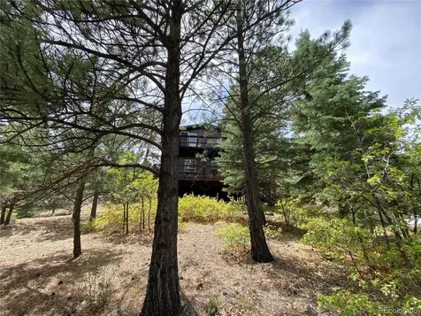 1927 Basin Drive Cotopaxi CO 81223