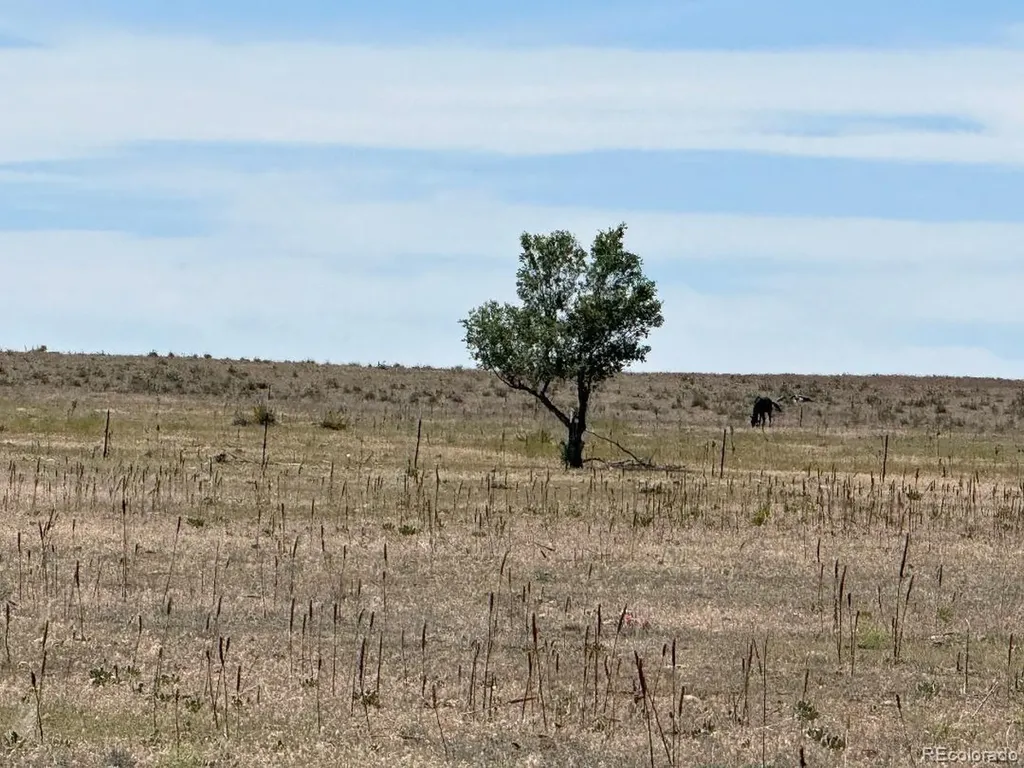 40495 Hoot Owl Road Ramah CO 80832
