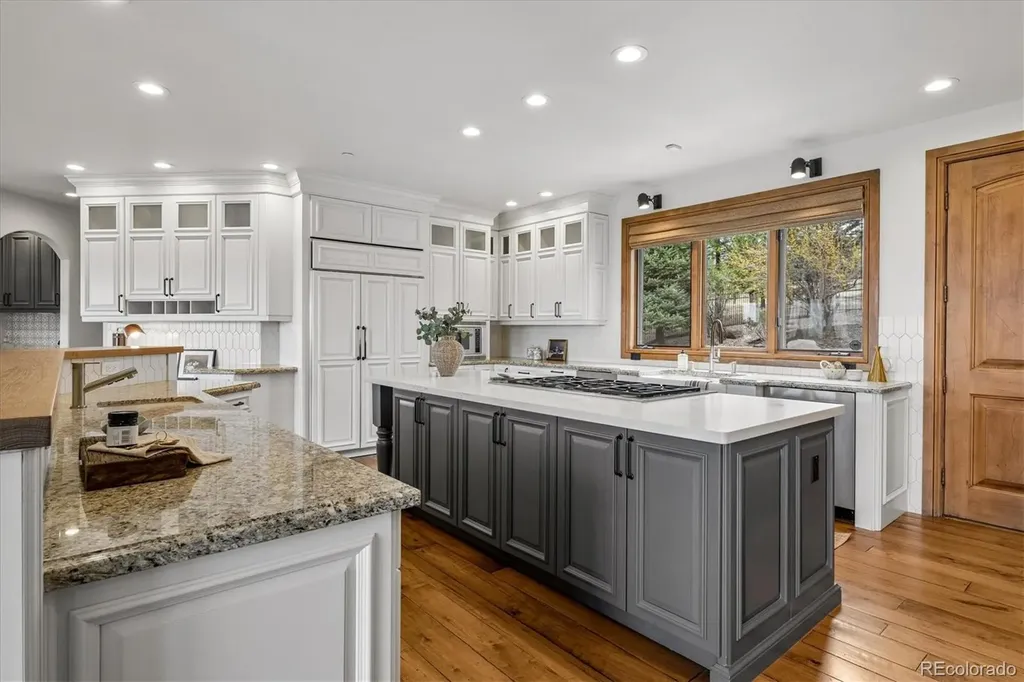 10378 Grande Vista Court Lone Tree CO 80124